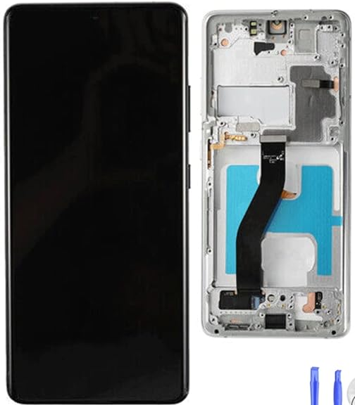 LCD S21 Ultra 5G 2021 with frame Silver
